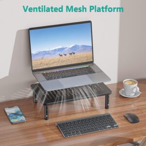Computer-Monitor-Stand-for-Desk